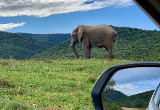 South Africa
